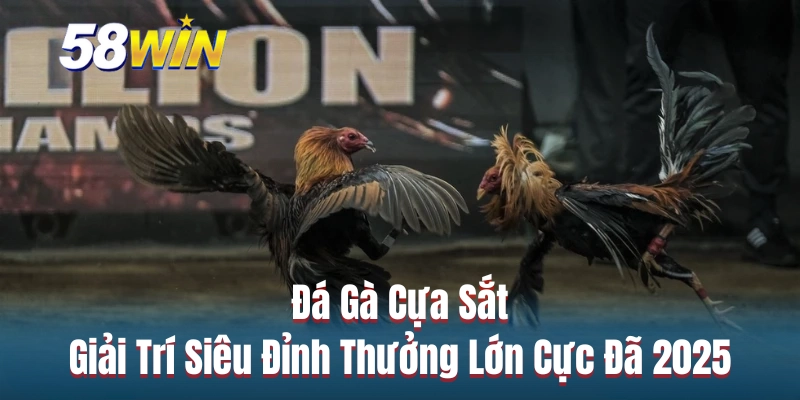 Đá Gà Cựa Sắt - Giải Trí Siêu Đỉnh Thưởng Lớn Cực Đã 2025