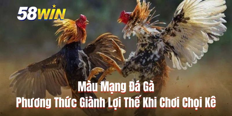 Màu Mạng Đá Gà - Phương Thức Giành Lợi Thế Khi Chơi Chọi Kê