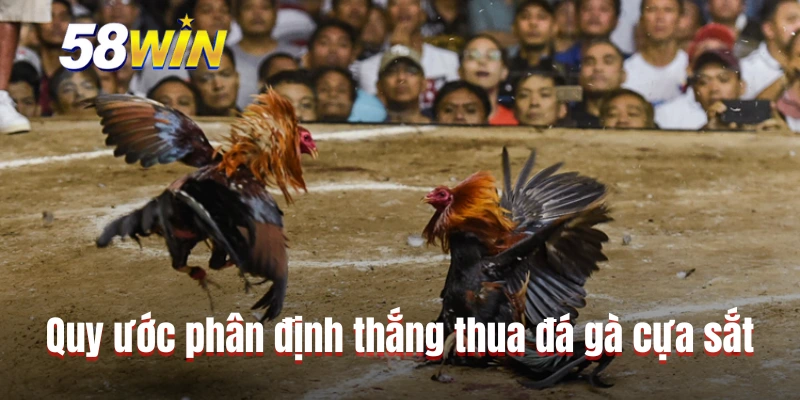 Quy ước phân định thắng thua đá gà cựa sắt