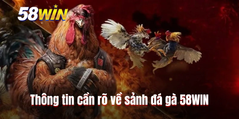 Thông tin cần rõ về sảnh đá gà 58WIN