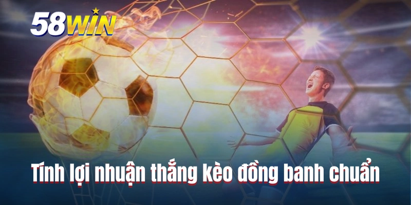 Tính lợi nhuận thắng kèo đồng banh chuẩn