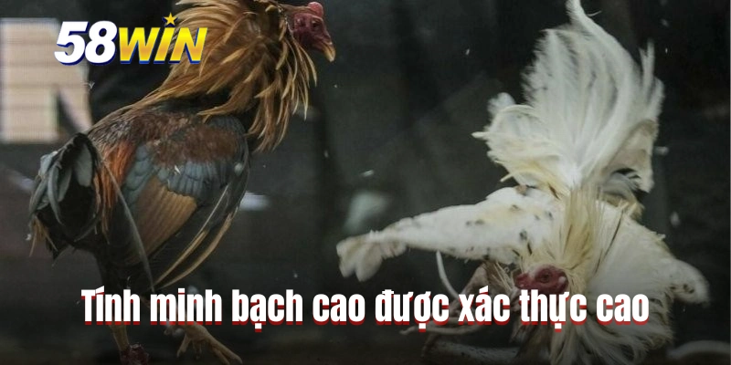 Tính minh bạch cao được xác thực cao