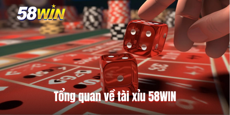 Tổng quan về tài xỉu 58WIN